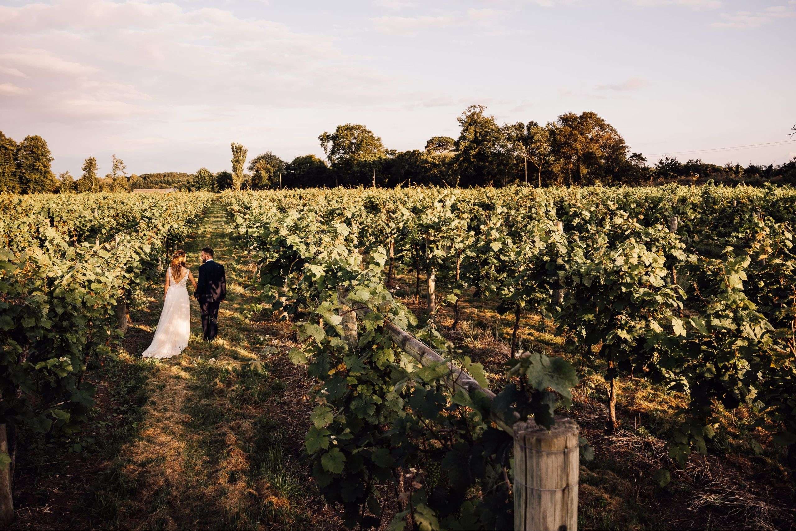 A couple walking through the vineyard at Stanlake Park
